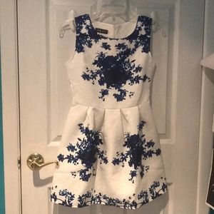 Blue and white floral dress